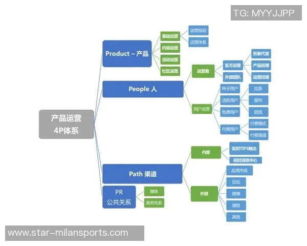 实时新闻上海排球队运营体系解析及其战术创新研究